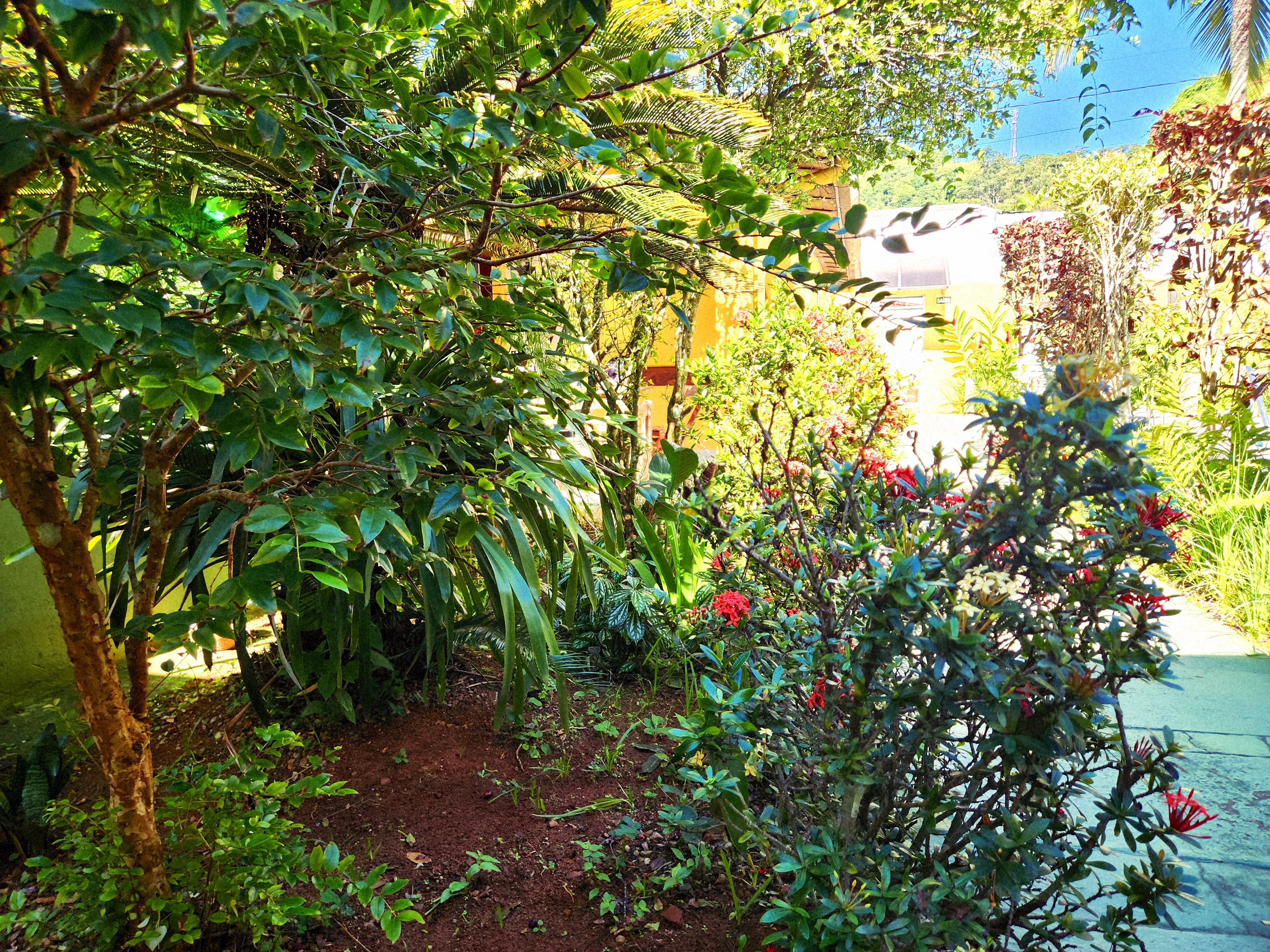 Piscina da Pousada Viva Ubatuba
