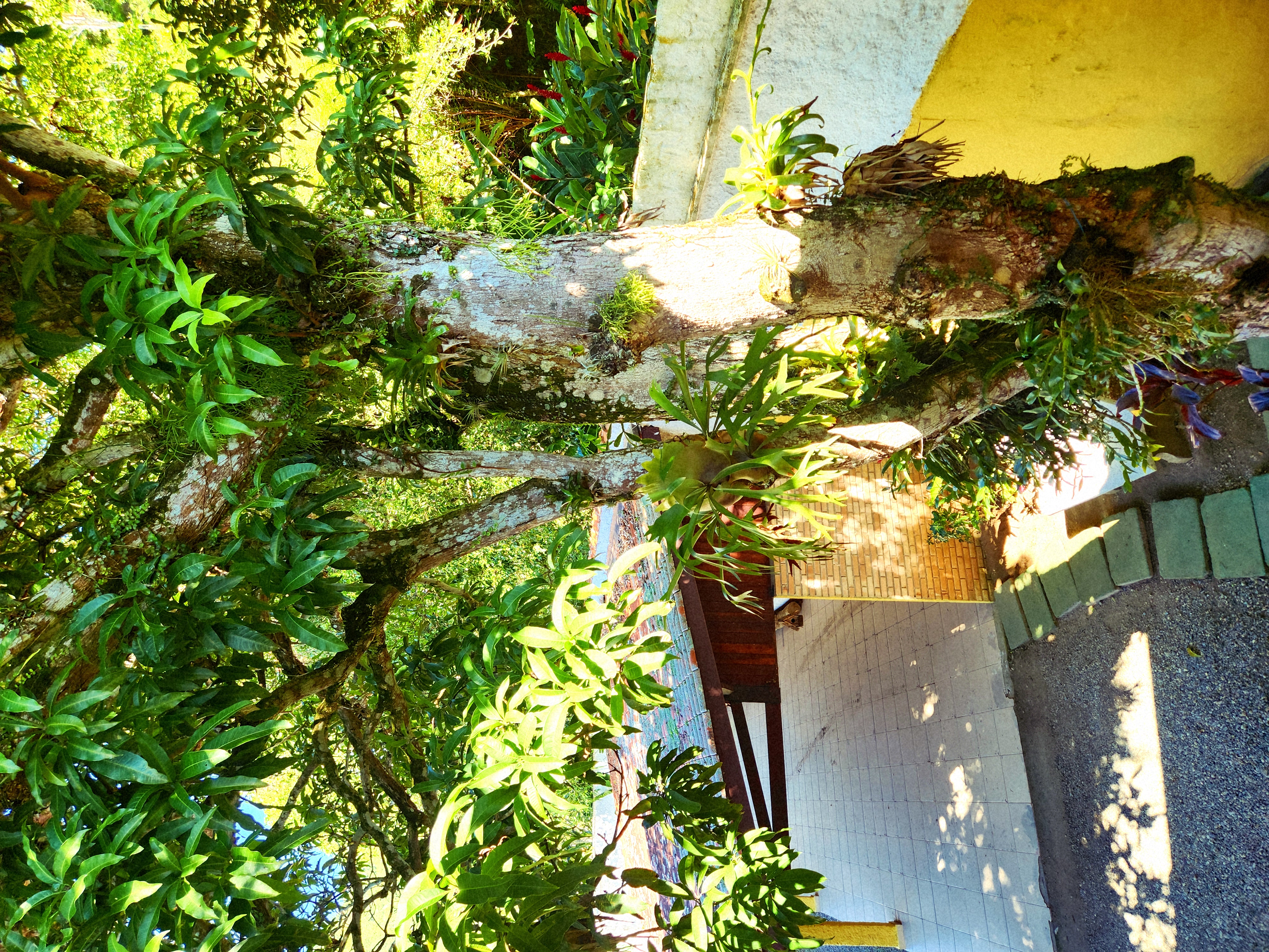 Área externa da Pousada Viva Ubatuba